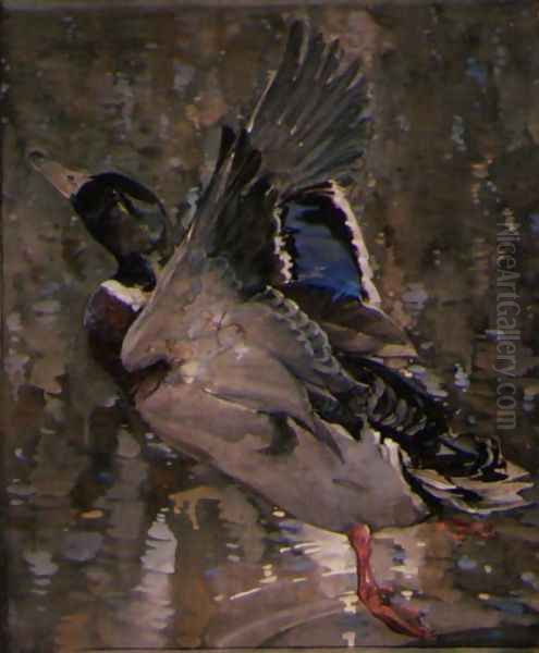 Mallard Rising Oil Painting by Joseph Crawhall