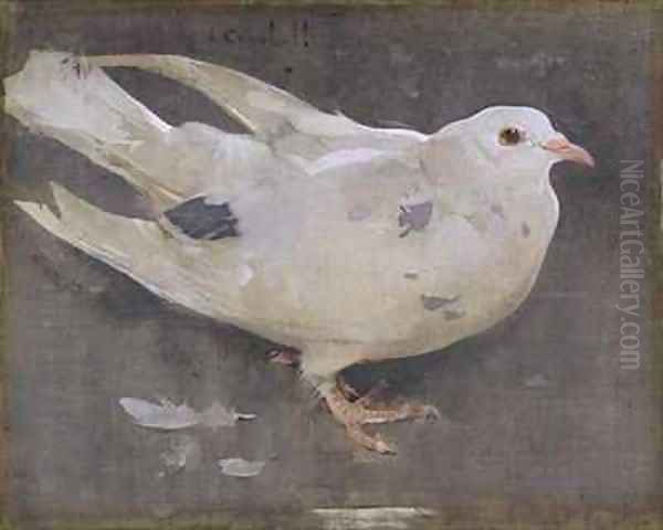 The Pigeon Oil Painting by Joseph Crawhall