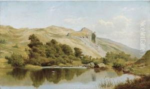 A Still Pool, In The Vale Of The Lledr, North Wales Oil Painting by James Edward Grace