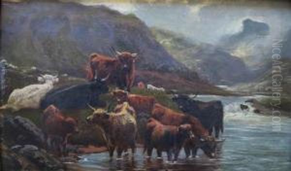 Highland Cattle By A Loch Oil Painting by Peter Graham