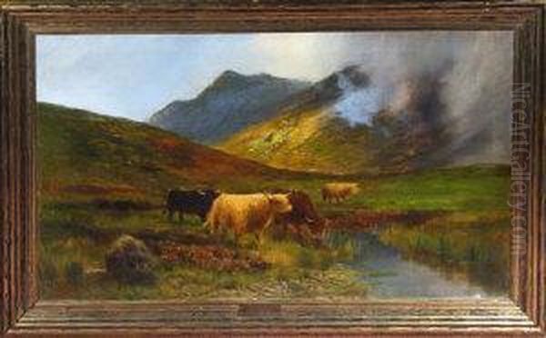 Highland Cattle In A Misty Glen Oil Painting by Peter Graham