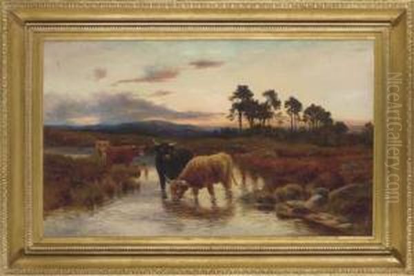 Highland Cattle Watering At Sunset Oil Painting by Peter Graham