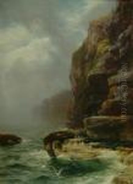 The Cradle Of The Seabird Oil Painting by Peter Graham