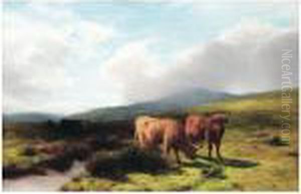 Highland Cattle Oil Painting by Peter Graham