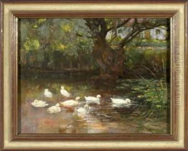 Acht Enten Am Weiher Oil Painting by Franz Grassel