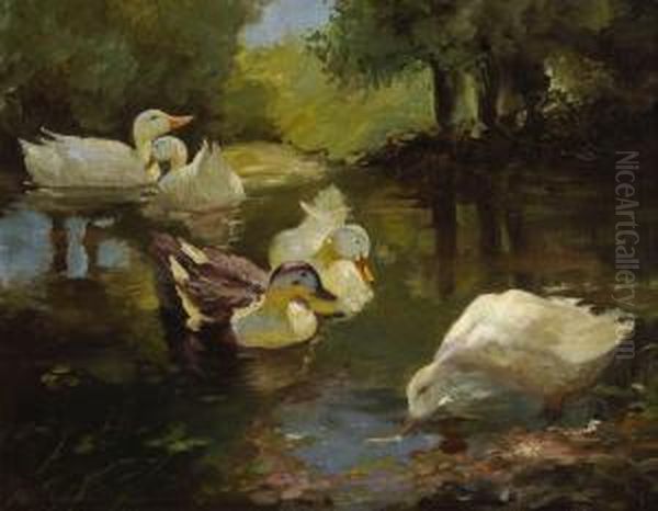 Funf Enten Im Wasser. Oil Painting by Franz Grassel