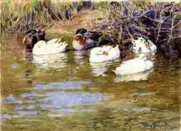 Ducks By The Riverbank Oil Painting by Franz Grassel