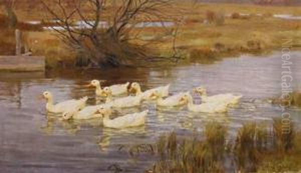 Ducks On The Water Oil Painting by Franz Grassel