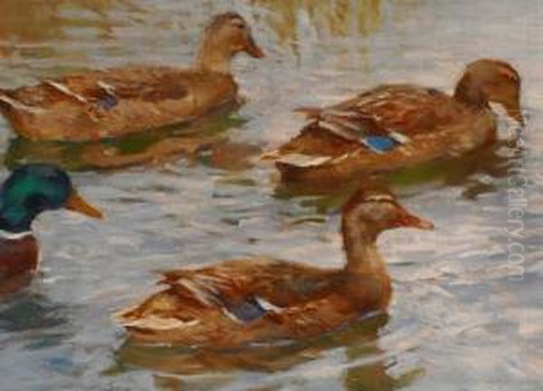 Wildenten Im Fluss Am Schilfufer. Oil Painting by Franz Grassel