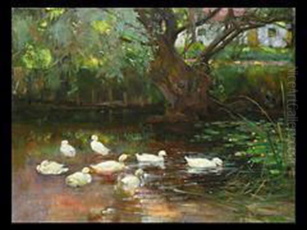 Enten Am Pfaffinger Weiher Oil Painting by Franz Grassel