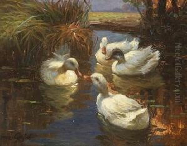 Vier Enten Im Schilf. Oil Painting by Franz Grassel