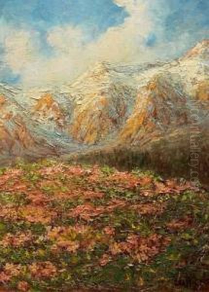 Fioritura Estiva Oil Painting by Giuseppe Grassis