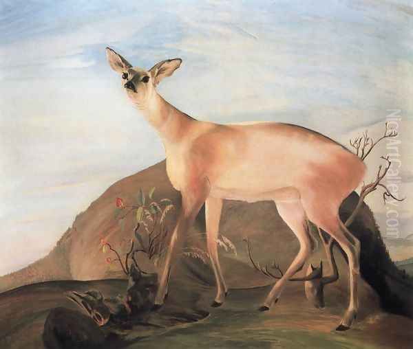 Deer, 1893 Oil Painting by Tivadar Kosztka Csontvary