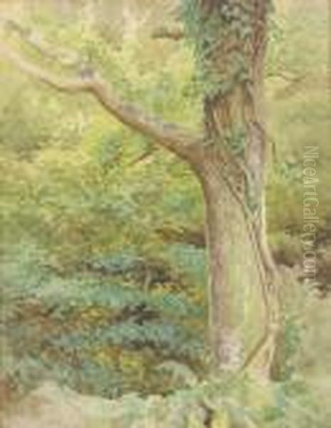 A Wooded Glade Oil Painting by Kate Greenaway