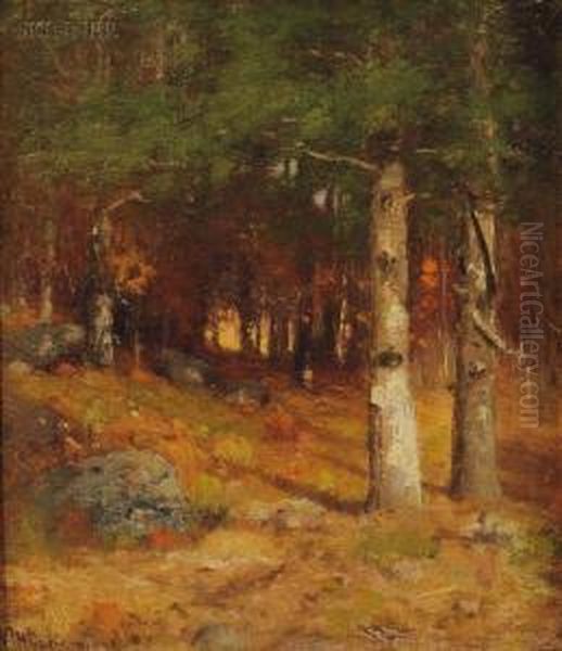 Woodland View Oil Painting by Joseph H. Greenwood