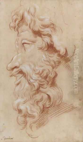 Study of the profile of a bearded God Oil Painting by Giovanni Battista Cipriani