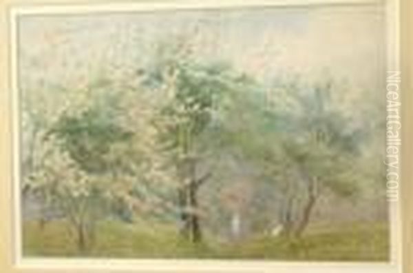 The Spring Walk, With Trees In Blossom Oil Painting by James Stephen Gresley