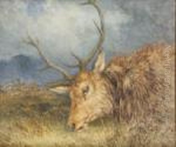 Fallen Deer Oil Painting by Alfred Grey