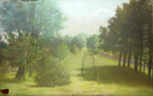 Alee Intr-un Parc Oil Painting by Nicolae Gropeano