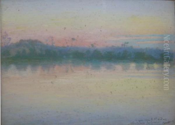 Pe Lac Oil Painting by Nicolae Gropeano