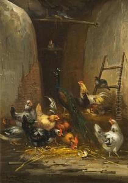 Diverses Federvieh Im Stall Oil Painting by Claude Guilleminet