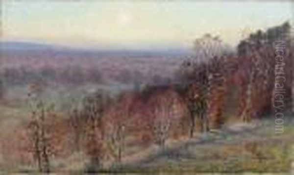 Foret, Matin D'hiver Oil Painting by Charles Victor Guilloux