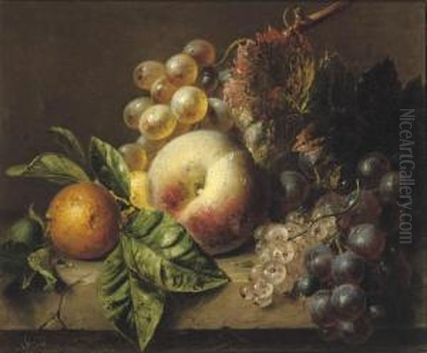 A Peach, Medlar, Grapes And White Currants On A Ledge Oil Painting by Adriana-Johanna Haanen