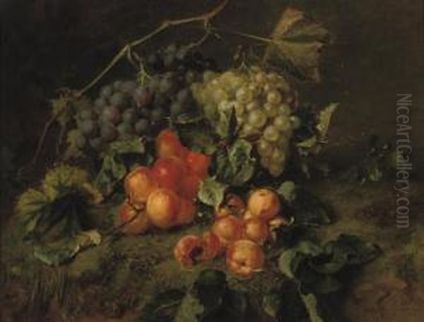 Grapes And Apricots On A Forest Floor Oil Painting by Adriana-Johanna Haanen