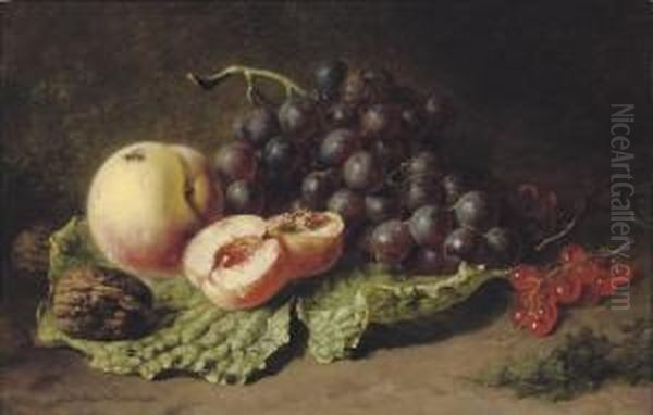 Walnuts, Peaches, Grapes And Blackberries Oil Painting by Adriana-Johanna Haanen