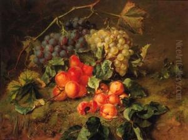 A Still Life With Grapes And Apricots Oil Painting by Adriana-Johanna Haanen