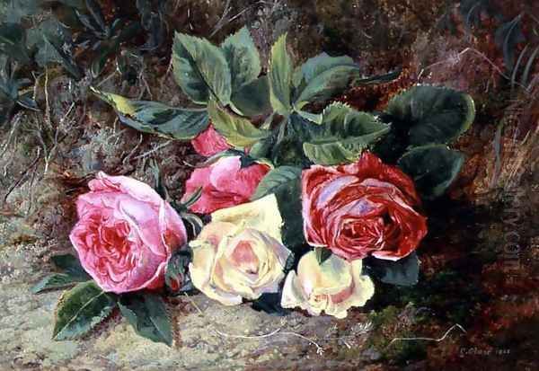 Roses, 1865 Oil Painting by George Clare