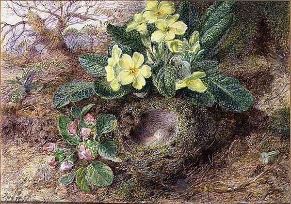 Still Life with Primroses and Birds Nest Oil Painting by George Clare