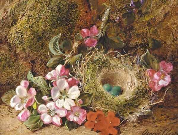 Primulas and a bird's nest with eggs on a mossy bank Oil Painting by George Clare