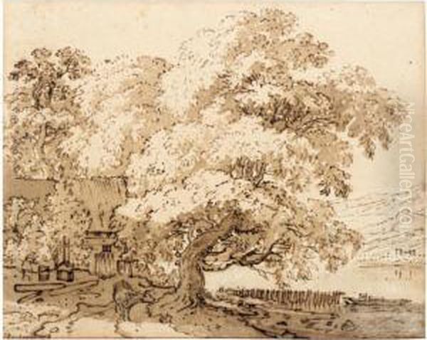 Farm Buildings Amongst Large Trees On A River Bank, With Hills Behind Oil Painting by Jan Hackaert