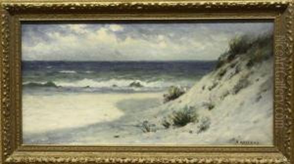 Coastal Landscape With Flowering Dunes Oil Painting by Nels Hagerup