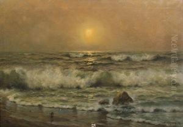 Dawn At A Tranquil Beach Oil Painting by Nels Hagerup