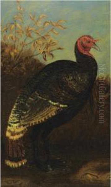 Turkey Oil Painting by William Hahn