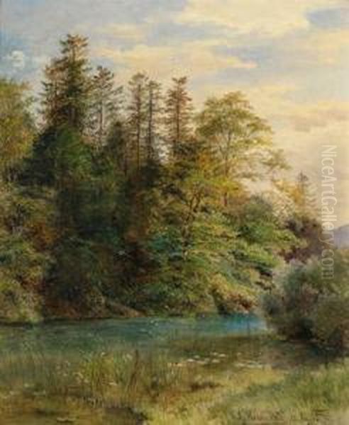 Waldteich Oil Painting by Ludwig Halauska