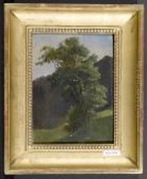 Landschaft Mit Baum. 1837. Oil Painting by Ludwig Halauska