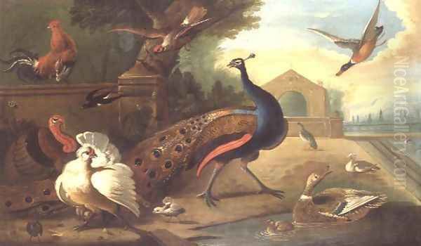 A Peacock, cockerel, turkey and other birds Oil Painting by Marmaduke Craddock