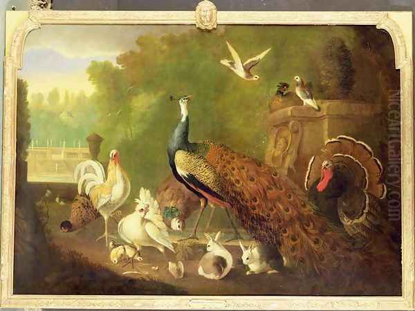 A peacock, turkey and other birds in an ornamental garden Oil Painting by Marmaduke Craddock