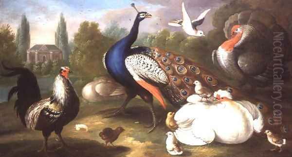 A Peacock, Turkey, Hen, Cockerel and Dove by a River Oil Painting by Marmaduke Craddock