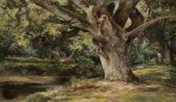 Burnham Beeches Oil Painting by Keeley Halswelle