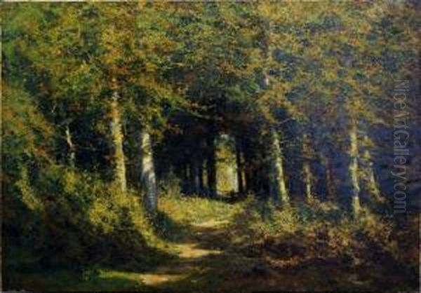 Dreve En Foret Oil Painting by Adolphe Jean Hamesse