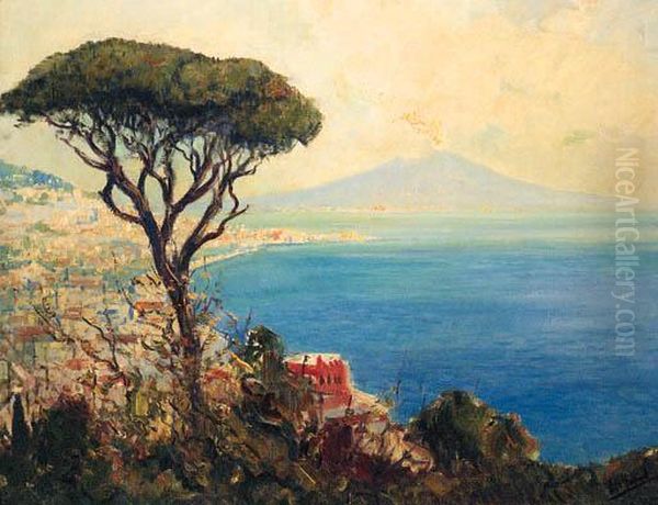 The Bay Of Naples With Vesuvius Beyond Oil Painting by Otto Hammel