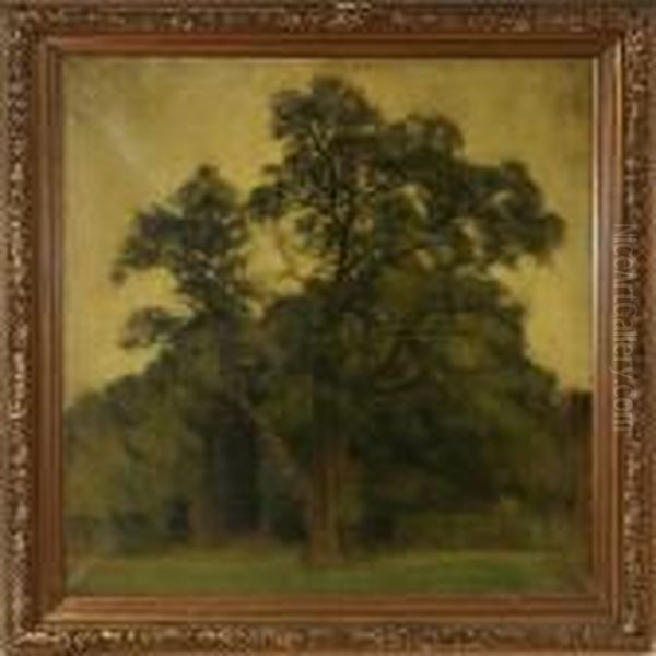 Landscape With Trees Oil Painting by Svend Hammershoi