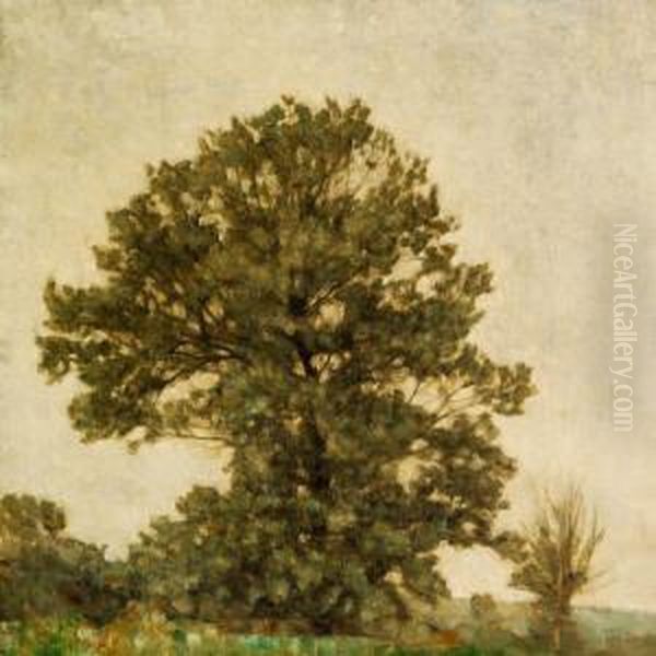 Landscape With Trees Oil Painting by Svend Hammershoi