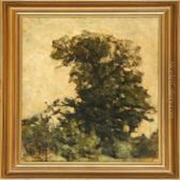 Study Of Treetops Oil Painting by Svend Hammershoi