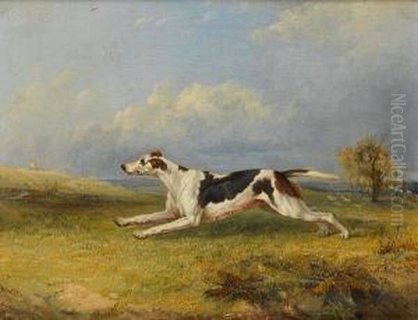 A Hound Running In A Landscape Oil Painting by Charles Hancock