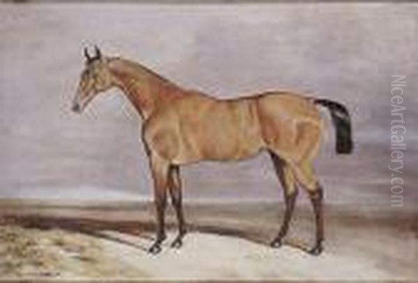 Caballo Oil Painting by Charles Hancock